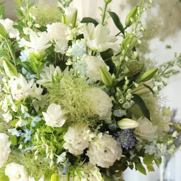 ıĴۥ ѥ󥸥ȥե ʥۥ磻ȷ 2