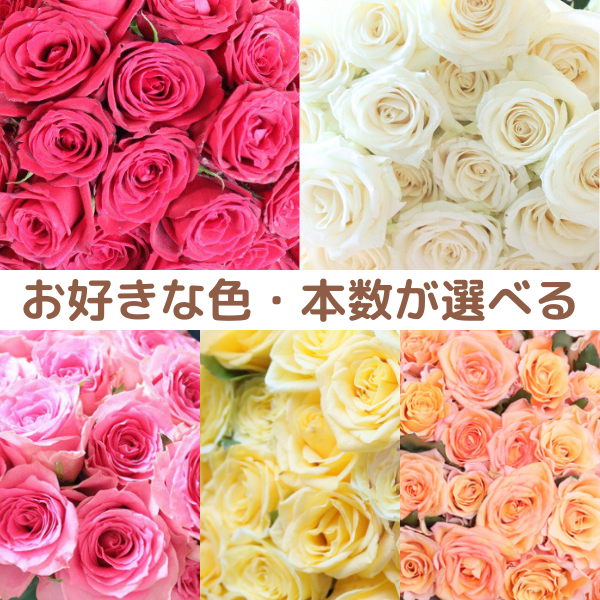 ڥХľۥХ«ʿܿ108ܤޤǡˤǥޥ