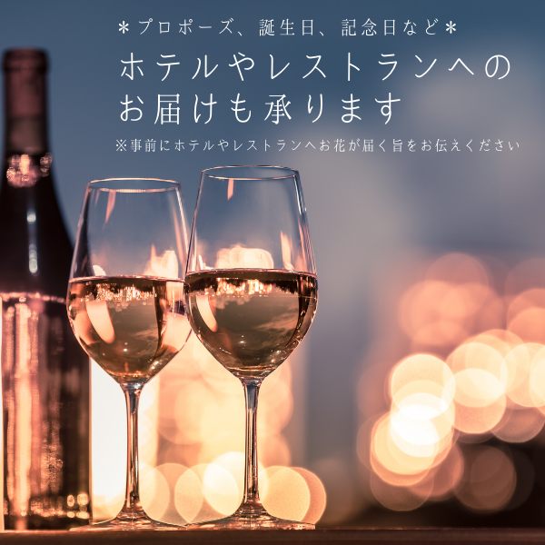 ٤뤪åԥ Х«  21  8