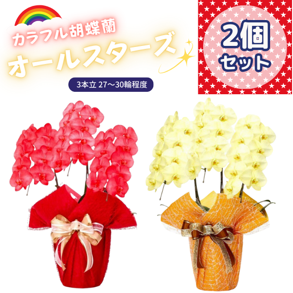 ٤륫եĳ 2730ذʾ 2ȭå(ΤƤȭ)