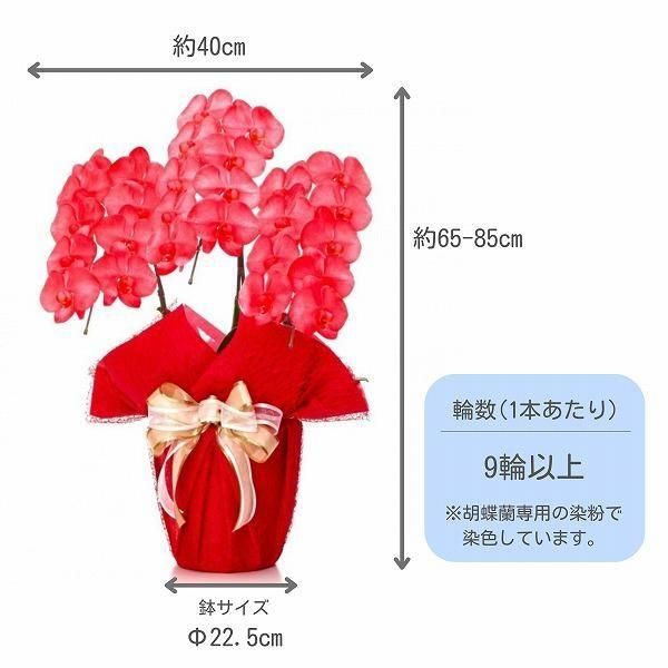 ٤륫եĳ 2730ذʾ 3ȭå(ΤƤȭ) 2