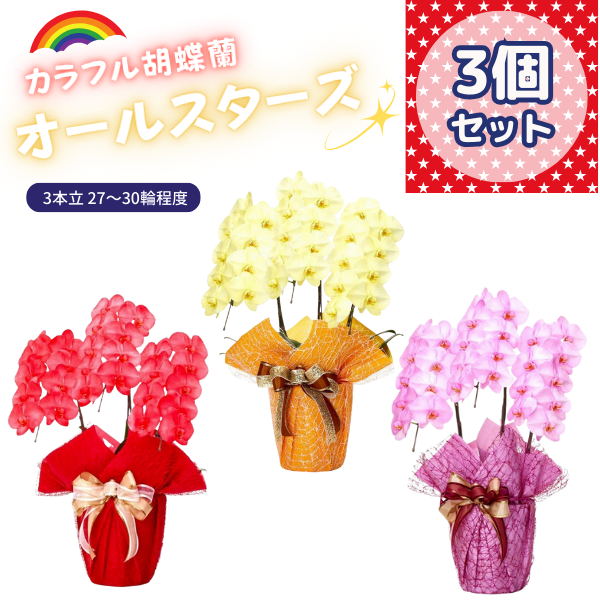 ٤륫եĳ 2730ذʾ 3ȭå(ΤƤȭ)