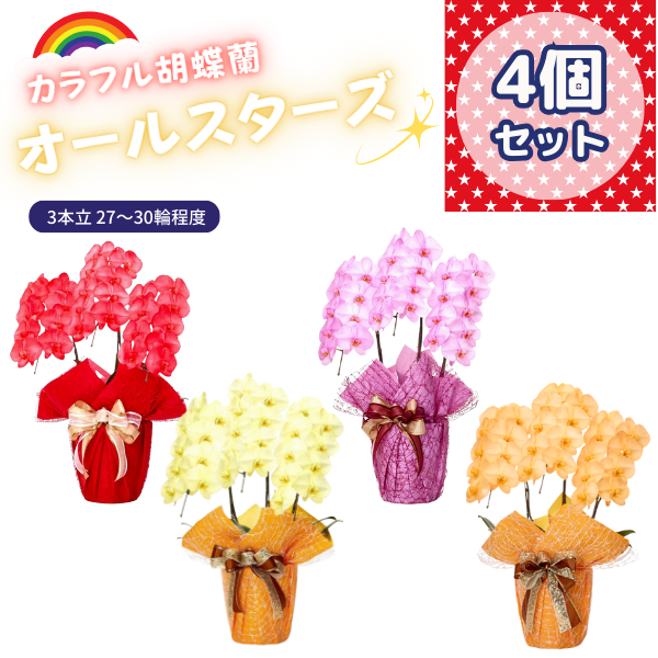 ٤륫եĳ 2730ذʾ 4ȭå(ΤƤȭ)