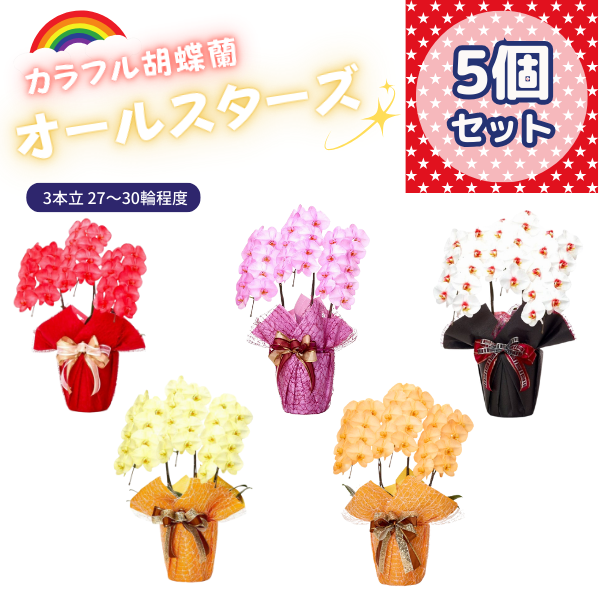 ٤륫եĳ 2730ذʾ 5ȭå(ΤƤȭ)