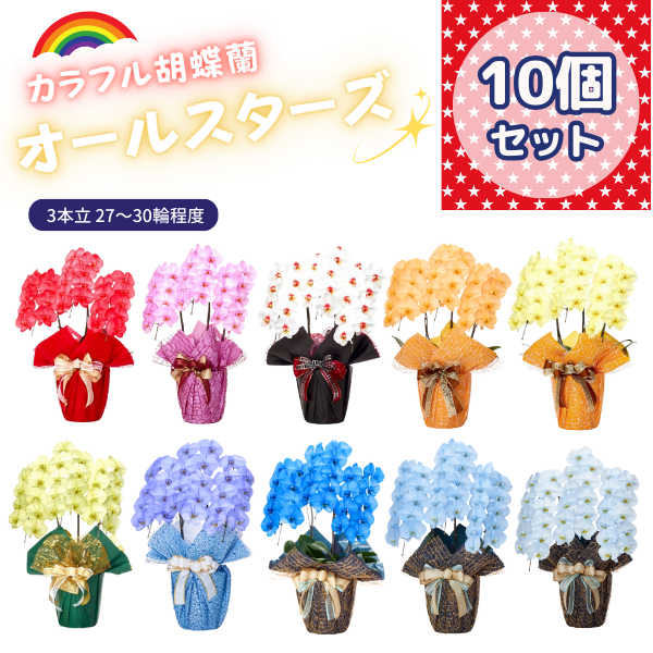 ٤륫եĳ 2730ذʾ 10ȭå(ΤƤȭ)