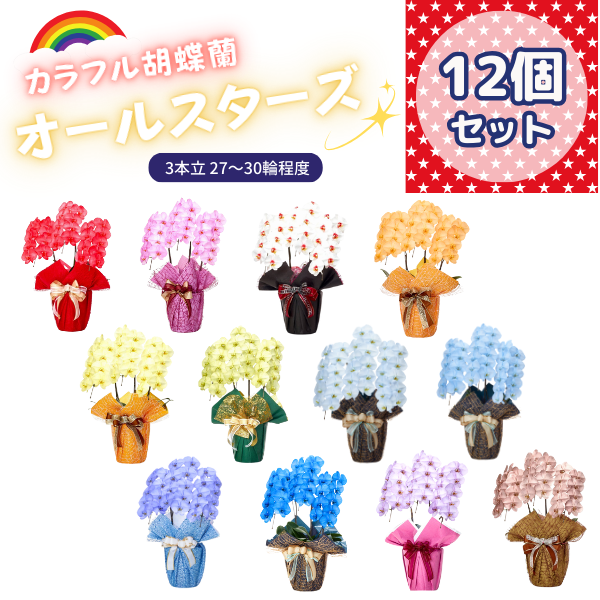 ٤륫եĳ 2730ذʾ 12ȭå(ΤƤȭ)