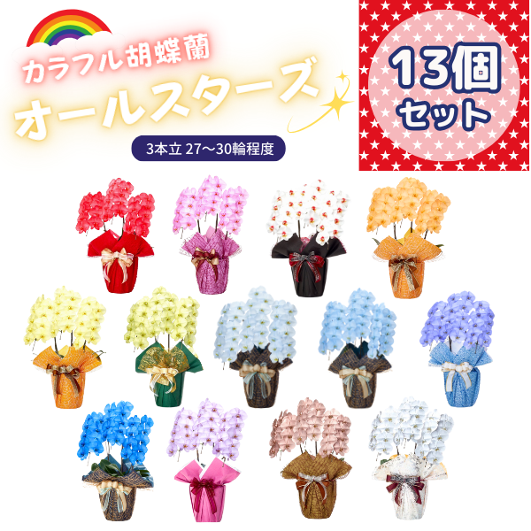 ٤륫եĳ 2730ذʾ 13ȭå(ΤƤȭ)