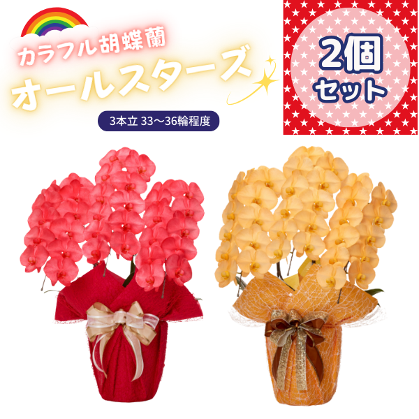 ٤륫եĳ 3336ذʾ 2ȭå(ΤƤȭ)