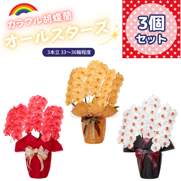 ٤륫եĳ 3336ذʾ 3ȭå(ΤƤȭ)