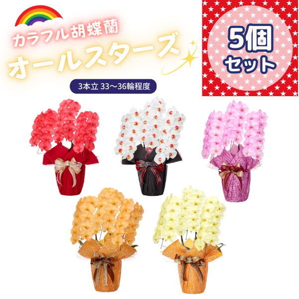 ٤륫եĳ 3336ذʾ 5ȭå(ΤƤȭ)