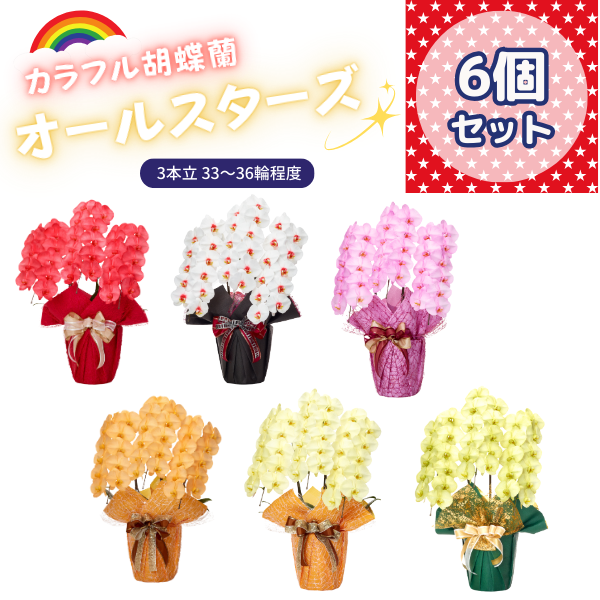 ٤륫եĳ 3336ذʾ 6ȭå(ΤƤȭ)