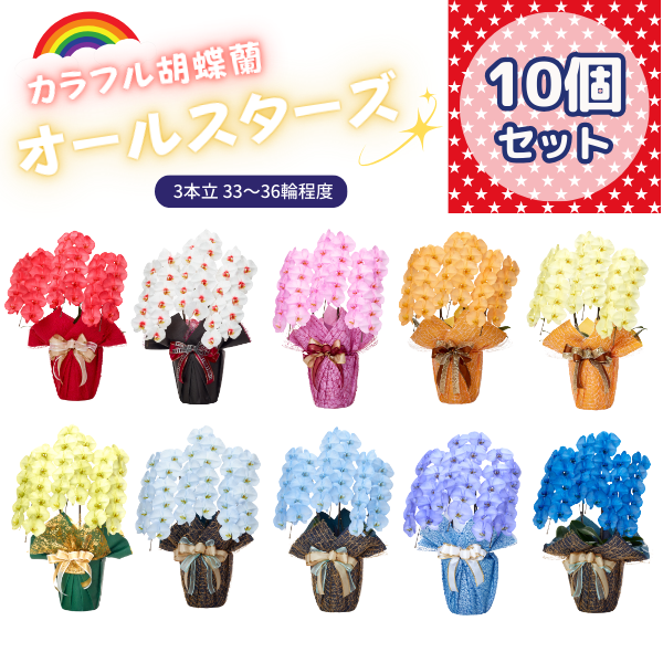 ٤륫եĳ 3336ذʾ 10ȭå(ΤƤȭ)