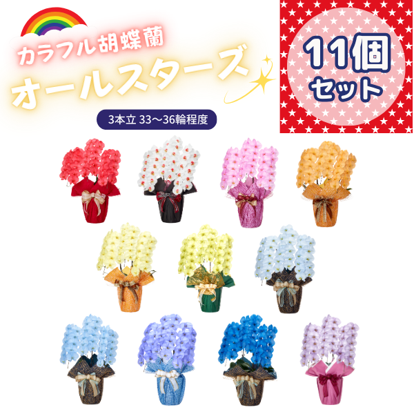 ٤륫եĳ 3336ذʾ 11ȭå(ΤƤȭ)