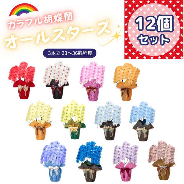 ٤륫եĳ 3336ذʾ 12ȭå(ΤƤȭ)