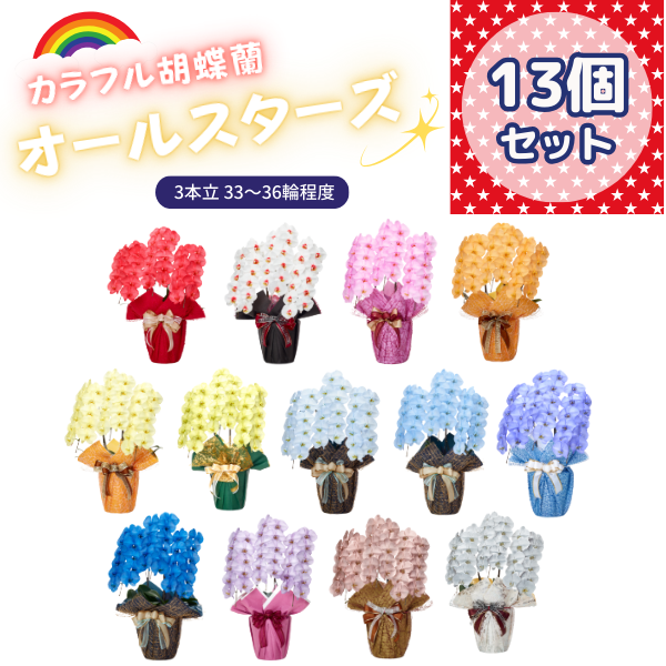 ٤륫եĳ 3336ذʾ 13ȭå(ΤƤȭ)