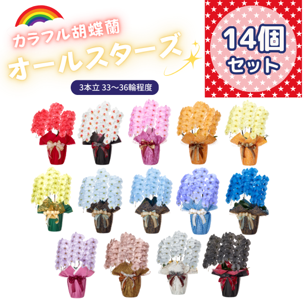 ٤륫եĳ 3336ذʾ 14ȭå(ΤƤȭ)