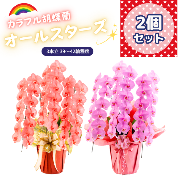 ٤륫եĳ 3942ذʾ 2ȭå(ΤƤȭ)