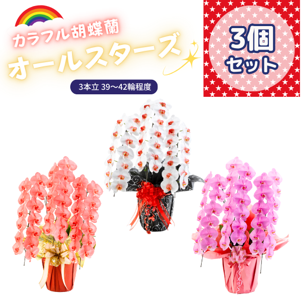 ٤륫եĳ 3942ذʾ 3ȭå(ΤƤȭ)