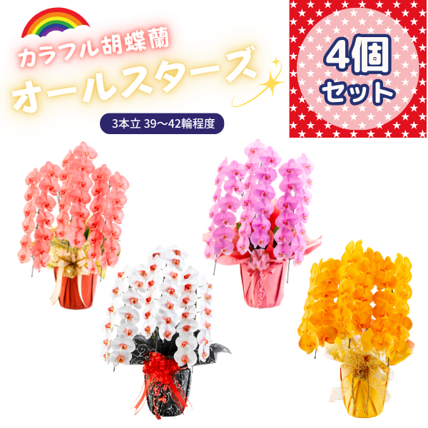 ٤륫եĳ 3942ذʾ 4ȭå(ΤƤȭ)