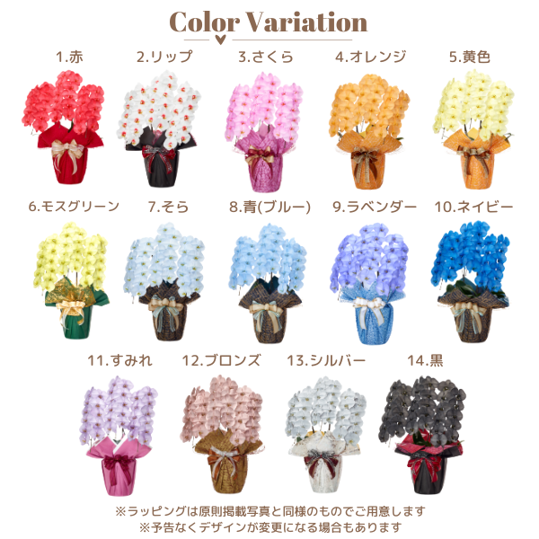 胡蝶蘭】色付き胡蝶蘭 3本立 39～42輪以上 4鉢セット‐サムライ