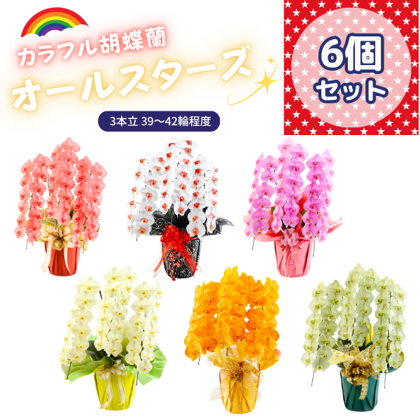 ٤륫եĳ 3942ذʾ 6ȭå(ΤƤȭ)