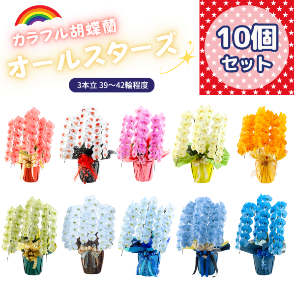 ٤륫եĳ 3942ذʾ 10ȭå(ΤƤȭ)