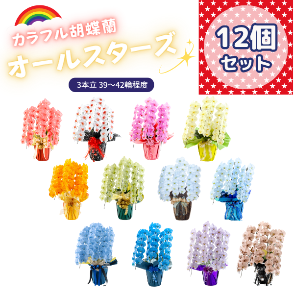 ٤륫եĳ 3942ذʾ 12ȭå(ΤƤȭ)