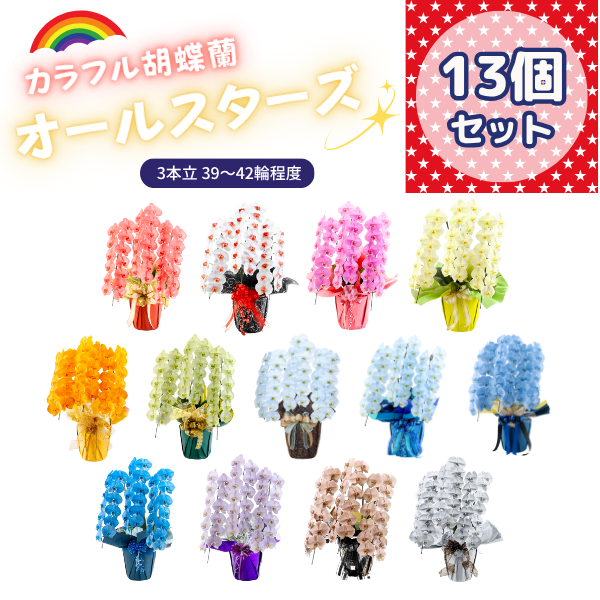 ٤륫եĳ 3942ذʾ 13ȭå(ΤƤȭ)