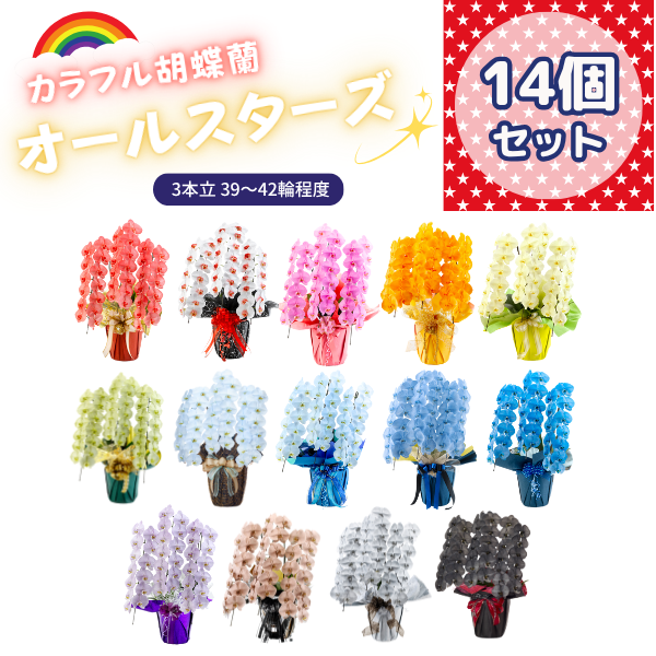 ٤륫եĳ 3942ذʾ 14ȭå(ΤƤȭ)