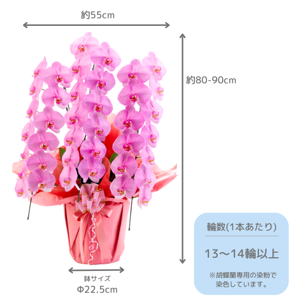 ٤륫եĳ 3942ذʾ 14ȭå(ΤƤȭ) 2