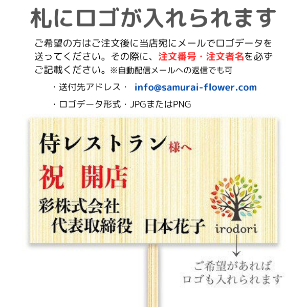 ٤륫եĳ 3942ذʾ 14ȭå(ΤƤȭ) 5