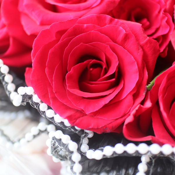 ʥѡåԥ Х«  20ܡ㥸奨꡼ܥȥդ 5