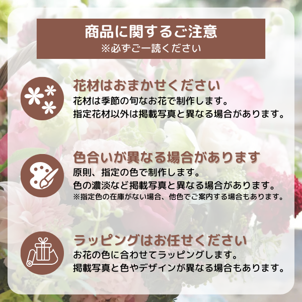 ڹåԥ «֡ ʥѡץ롦꡼ M 10