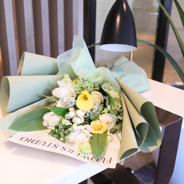 ڹåԥ «֡ ʥۥ磻ȡ L 3