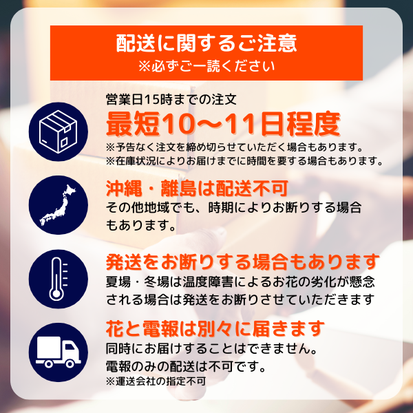 ǰʥСǡˤȴڹåԥ «֡ ʥԥ󥯷 L 16