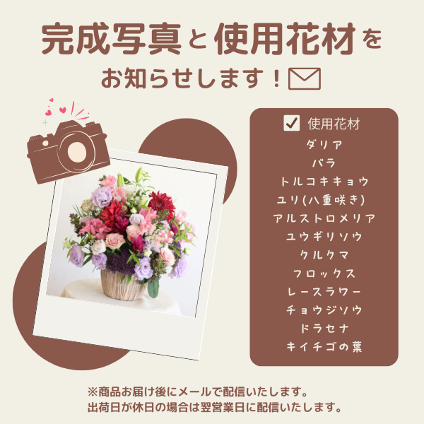 (ݥ)ȴڹåԥ «֡ ʥ֥롼ѡץ Mڲ٤ޤ 18