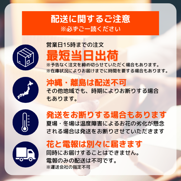 (ݥ)ȴڹåԥ «֡ ʥ֥롼ѡץ Mڲ٤ޤ 21