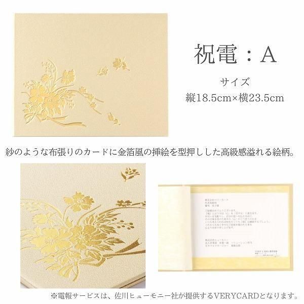 (ݥ)ȴڹåԥ «֡ ʥ֥롼ѡץ Mڲ٤ޤ 8