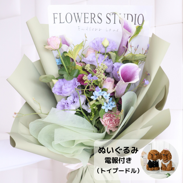 ̤(ȥסɥ)ȴڹåԥ «֡ ʥ֥롼ѡץ M