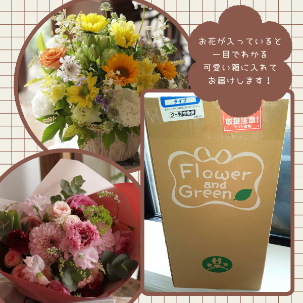 (ݥ)ȴڹåԥ «֡ ʥ륤󥸷 Mڲ٤ޤ 7