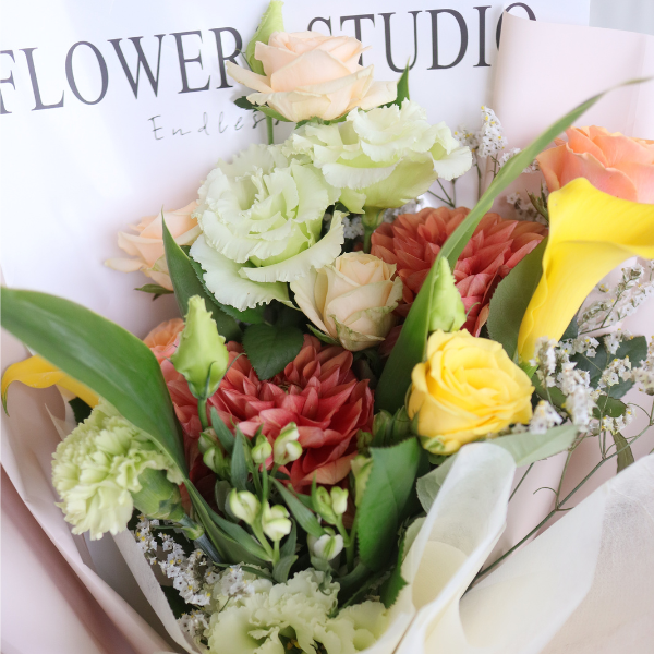 ̤(ȥסɥ)ȴڹåԥ «֡ ʥ륤󥸷 L 4