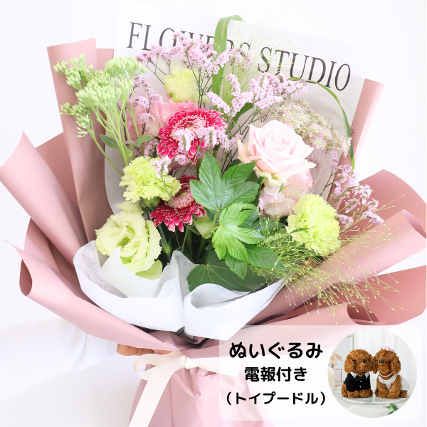 ̤(ȥסɥ)ȴڹåԥ «֡ ʥԥ󥯡꡼ M