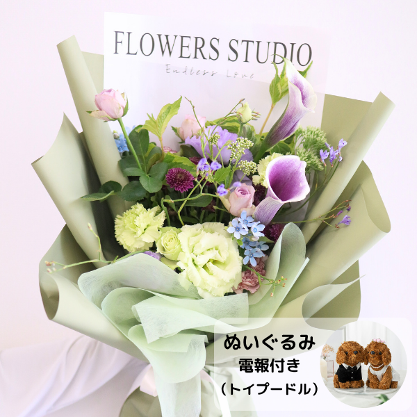 ̤(ȥסɥ)ȴڹåԥ «֡ ʥѡץ롦꡼ L