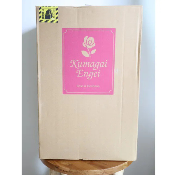 ֥Х100ܡðΥܥ塼밦β«åץݡǰ 4