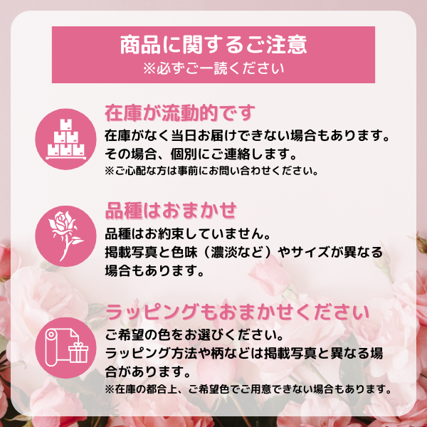 ֥Х100ܡ⡦ԻԸ ãбåץ饤˺Ŭ 5