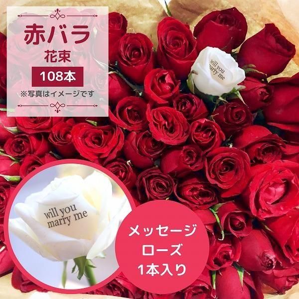 ֥Х108ܡåååץݡʥץߥ«