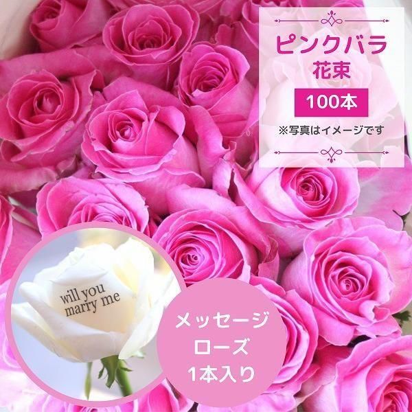 ԥ󥯥Х100ܡååûפ̤ʲ«