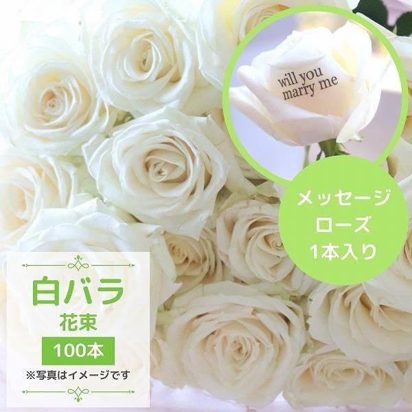 Х100ܡåå̤ۤʰܤź