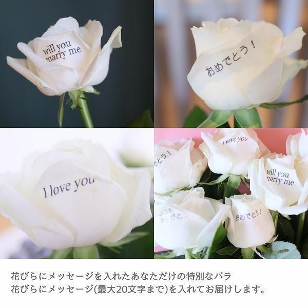 Х100ܡåå̤ۤʰܤź 2