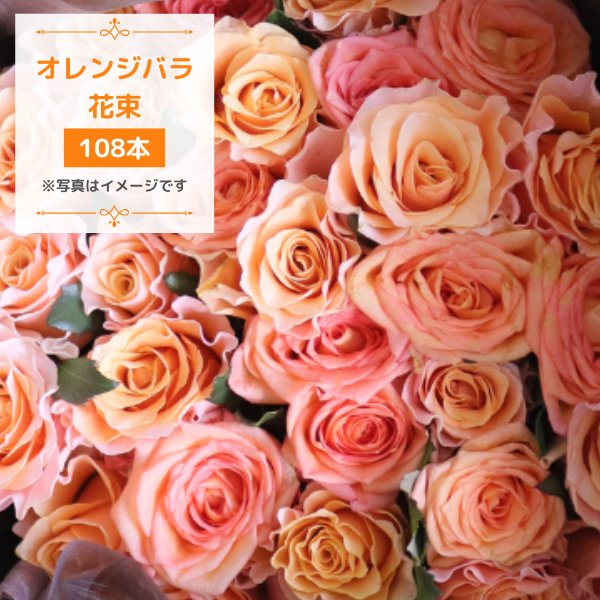 󥸥Х108ܡ䤫ʺ̤꤬ڥ̤֡ʥեȤ